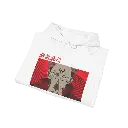 5.webp